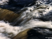 0-00102u - Moira River at Vanderwater Park.jpg